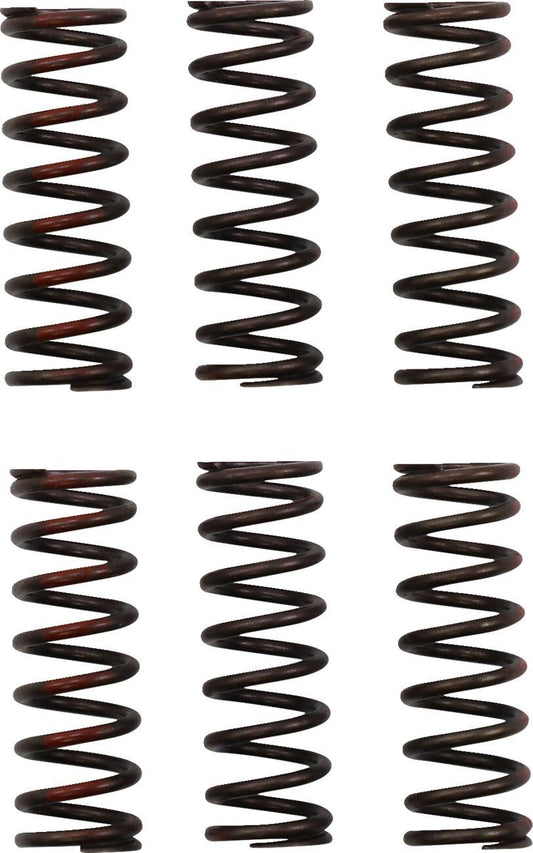 Pro Circuit CSH21450-CS CLUTCH SPRING CRF450R
