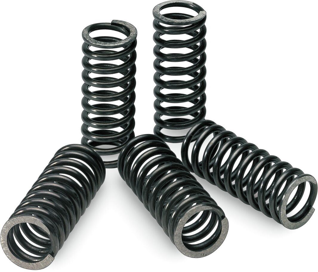 Pro Circuit CSS05450 SPRINGS CLUTCH RMZ450