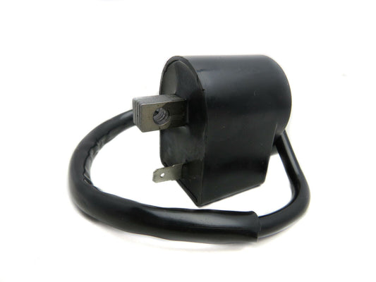 Ignition Coil & CDI For Suzuki LT50 1995
