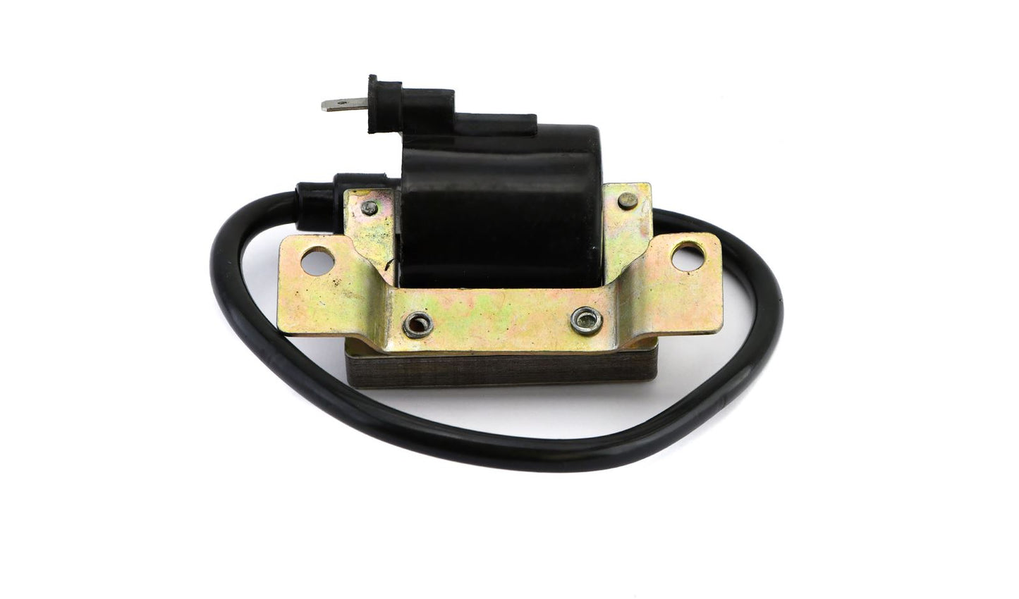 Ignition Coil 6v AC Single 2 Bullets (70mm Centres) (P:0.86Oh, S: 5.85KOh)