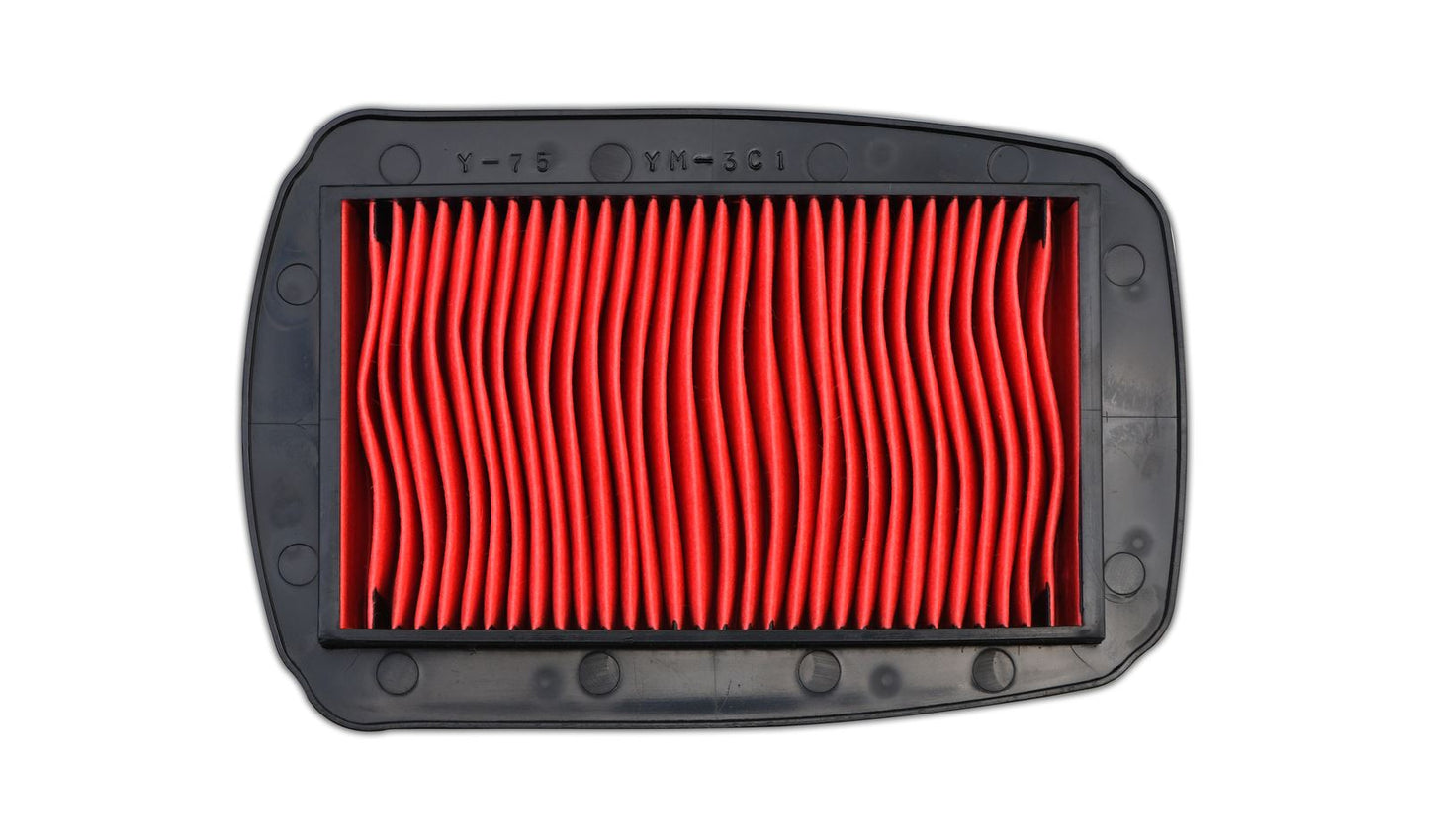 Air Filter Yamaha YZF-R125 08-13, WR125 09-13, MT125 14- HFA4106