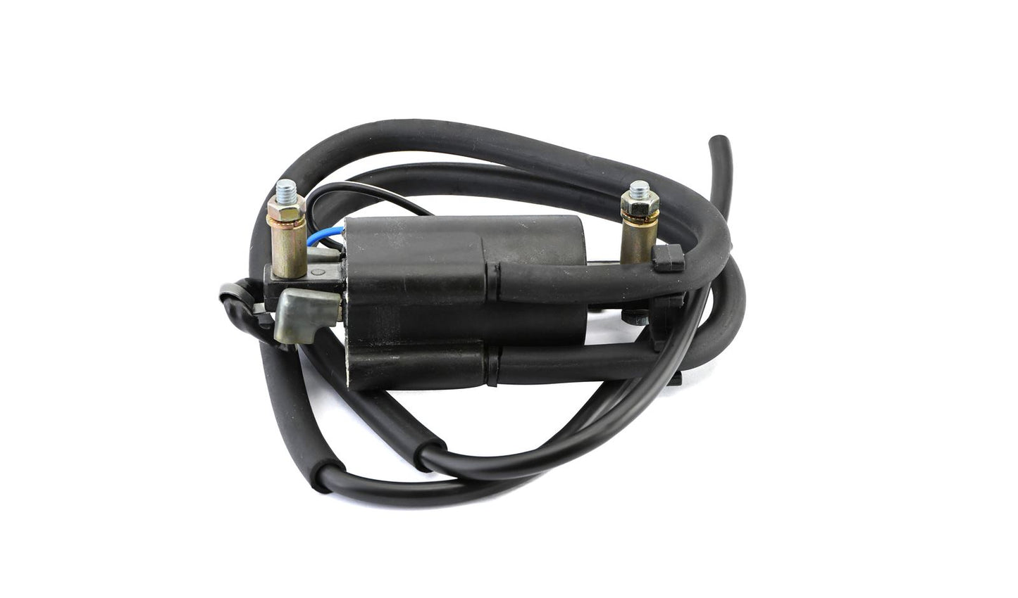 Ignition Coil 6v Points Twin Lead 2 Wires (100mm Centres) (P: 1.84Oh, S: 17.50KOh)