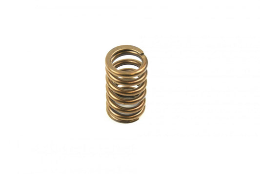 EXHAUST VALVE SPRING KAWASAKI KX450F 2006-2018, KFX450R 2008-2014