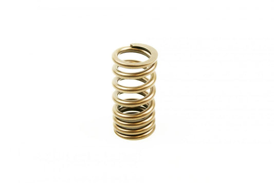 INLET VALVE SPRING SUZUKI RM-Z 250 2007-2023, GSX-R750 06-23