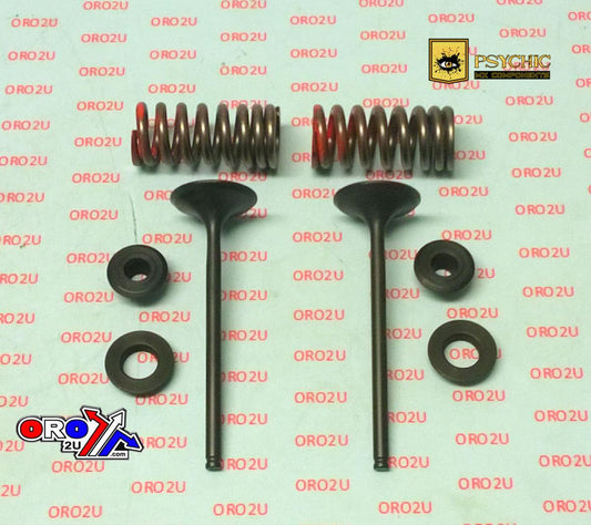 PSYCHIC INLET VALVE+SPRING KIT HONDA CRF250R 2008-2009