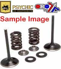 PSYCHIC INLET VALVE+SPRING KIT KAWASAKI KX450F 2009-2018